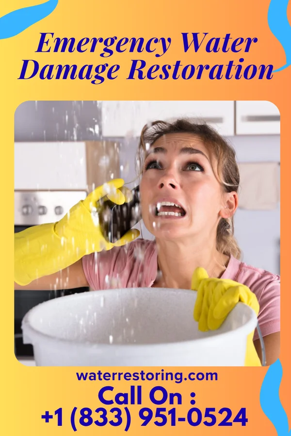 Emergency Water Damage Restoration in Purdy, WA