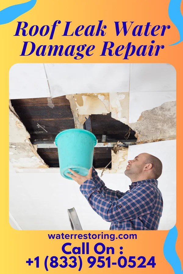 Roof Leak Water Damage Repair in Purdy, WA